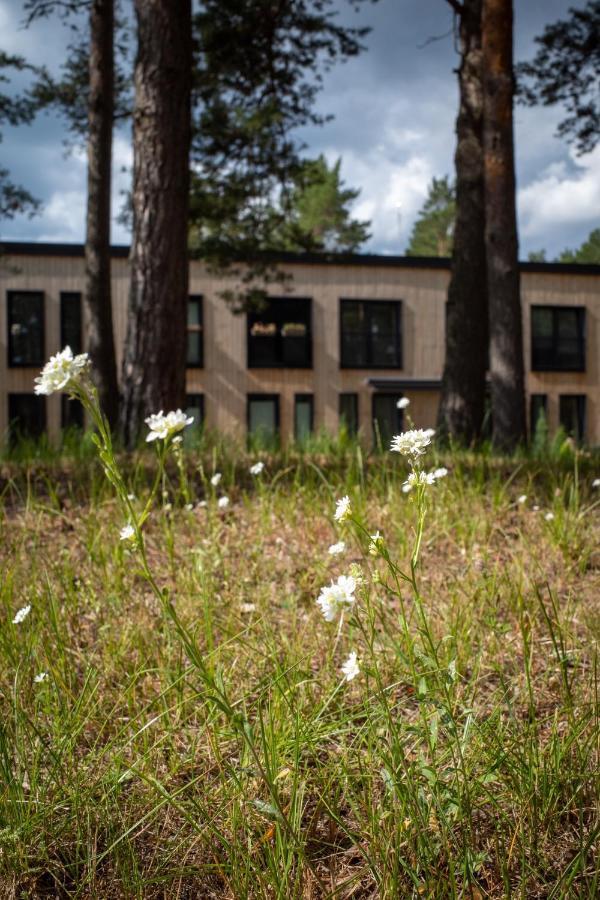 11 Pine View Lägenhet Ķesterciems Exteriör bild