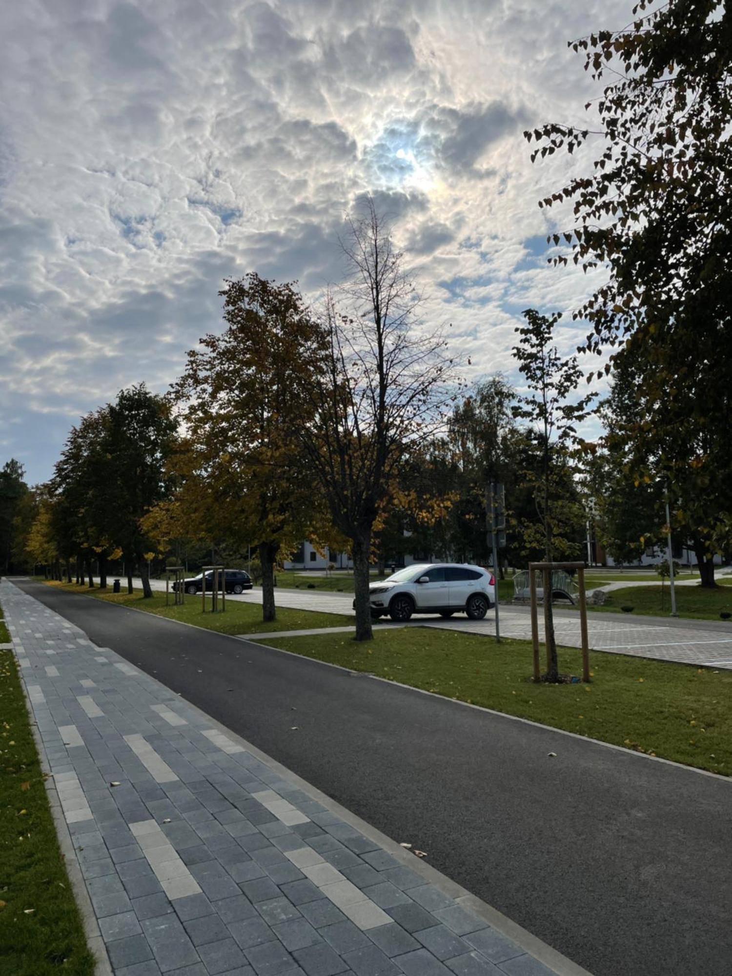 11 Pine View Lägenhet Ķesterciems Exteriör bild